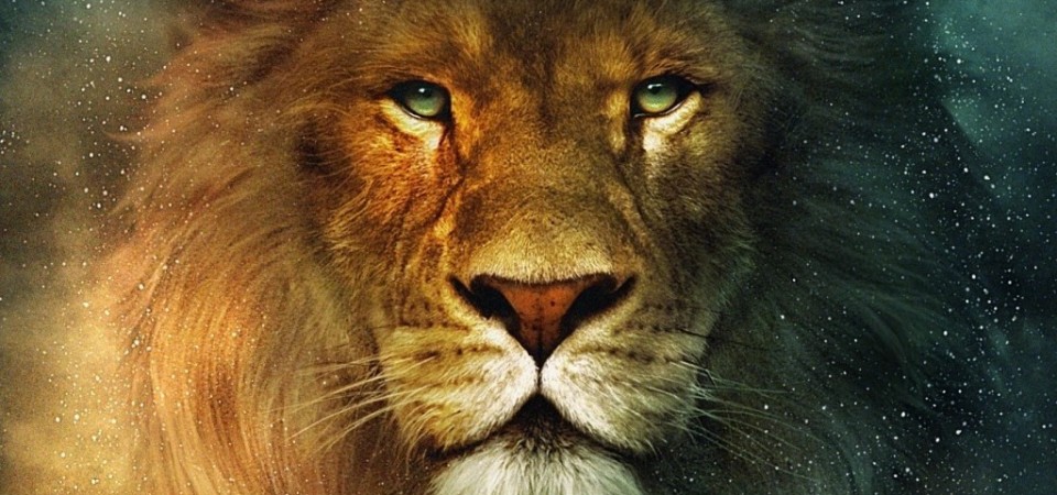2013: The Year of the Lion