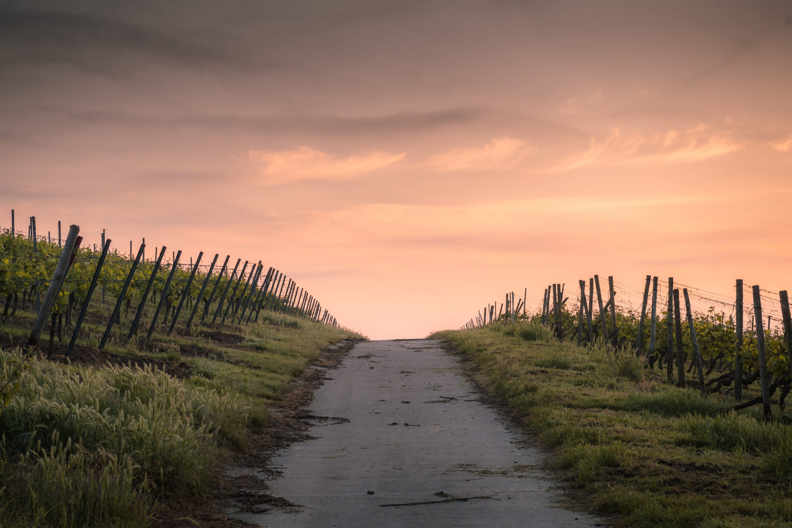 Dirt roads and miracles